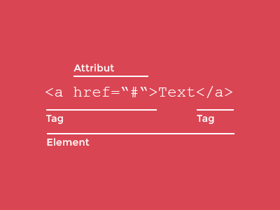 Attribut, Element und Tag in HTML