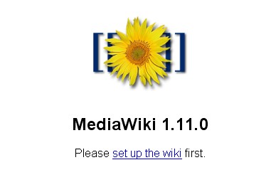 Erstes MediaWiki-Fenster im Browser